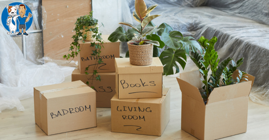 Stacked boxes ready for moving